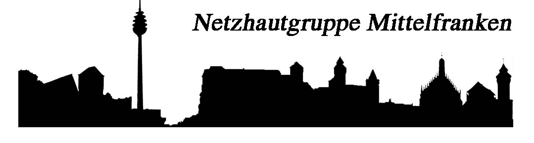 LOGO - eine fiktive skyline von Nürnberg, zusammengesetzt aus Burg, Rathaus, Fernsehturm, mit dem Schjriftzug Netzhauztgruppe Mittelfranken